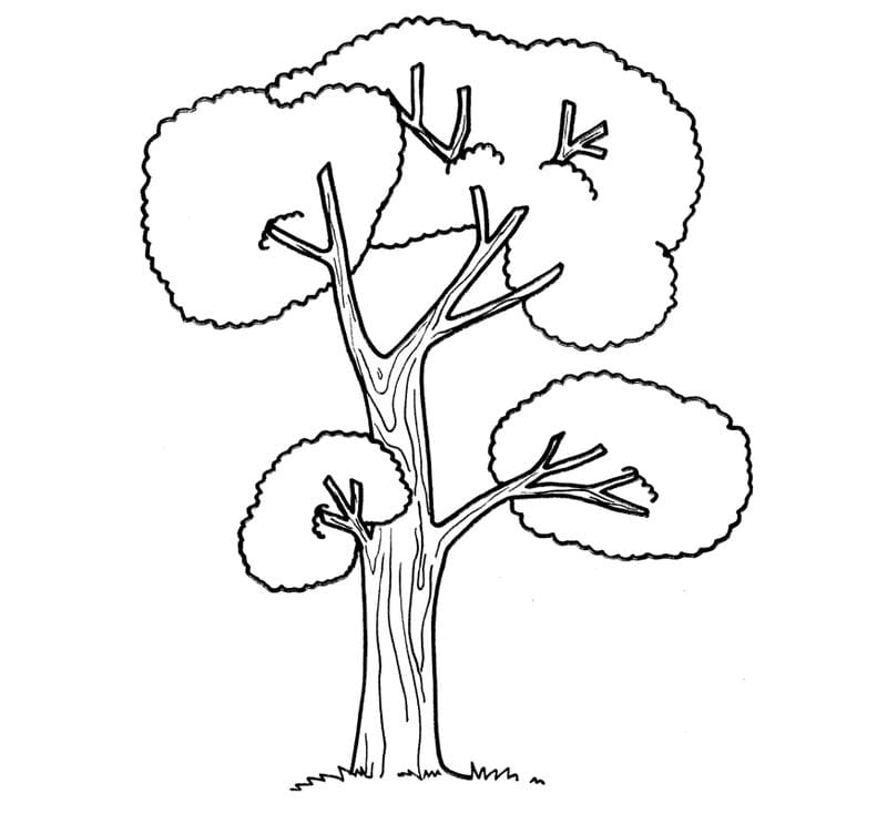 Gợi ý mẫu dễ thương để tô màu tranh cây xanh cùng bé