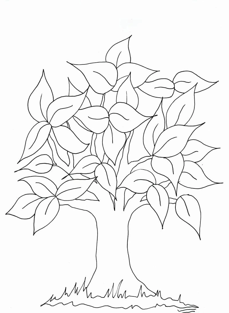 Tải ngay các mẫu tranh rỗng tô màu cây xanh đơn giản