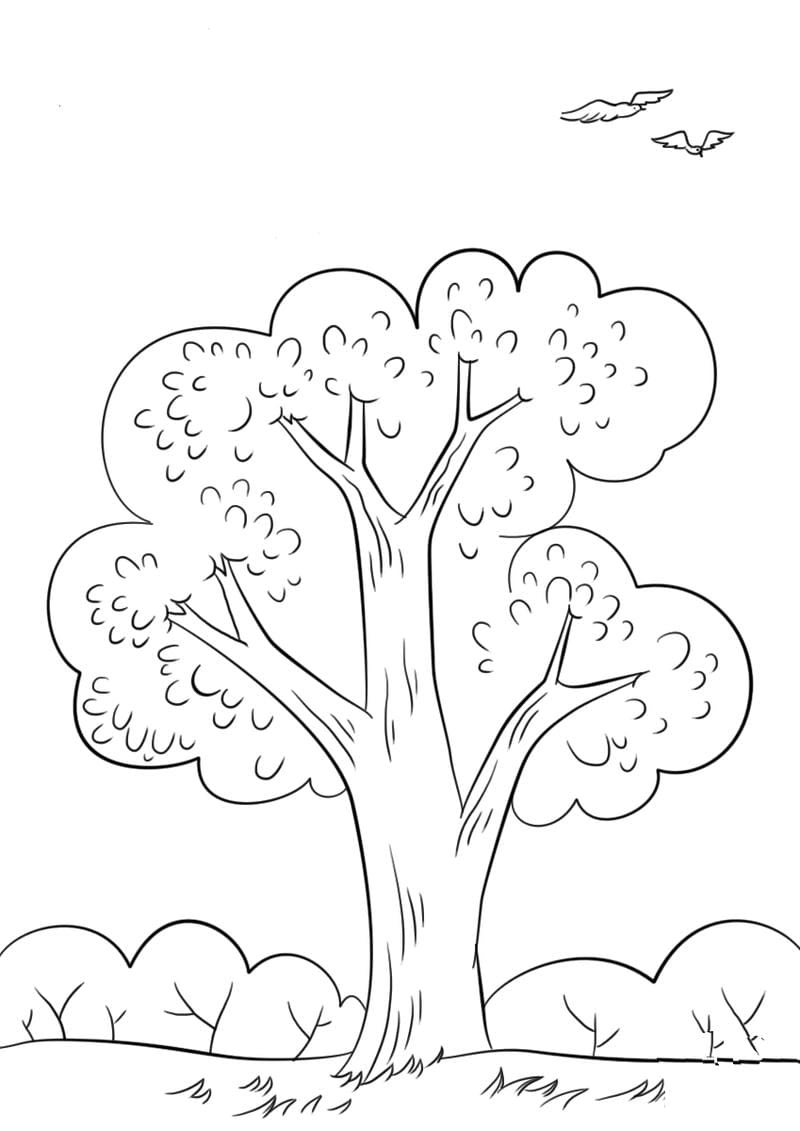 Rèn luyện tư duy màu sắc qua bé tô màu cây xanh