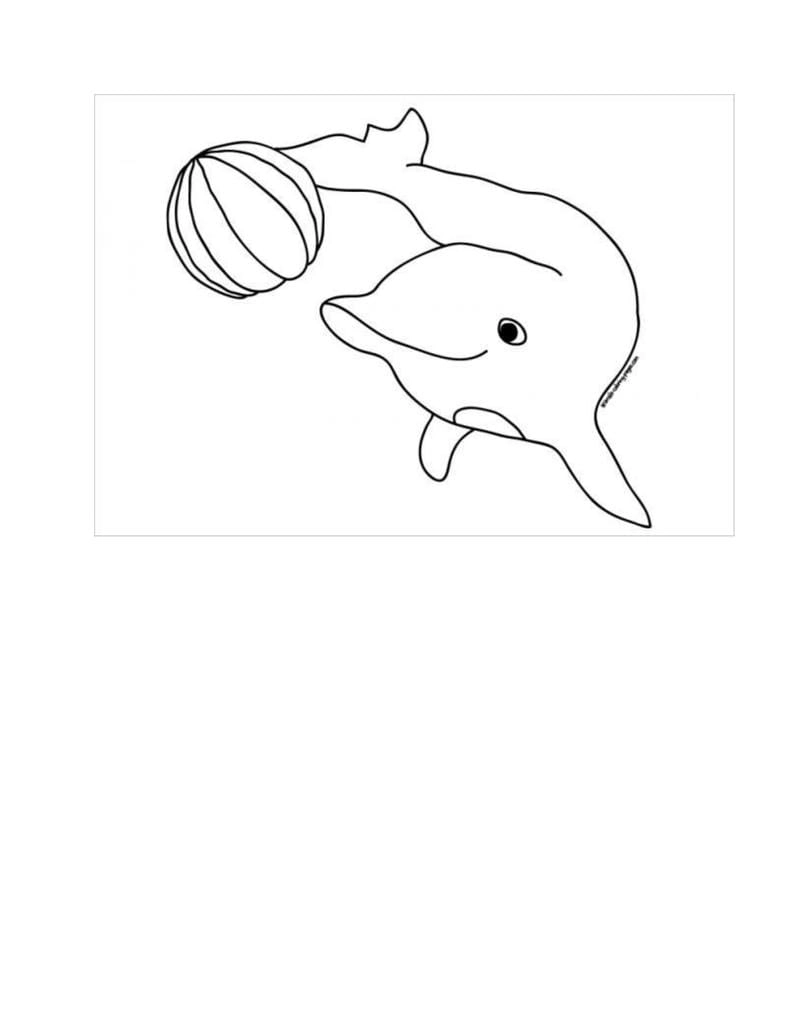 Hình cá heo cho bé tô màu giúp phát triển khả năng nhận biết