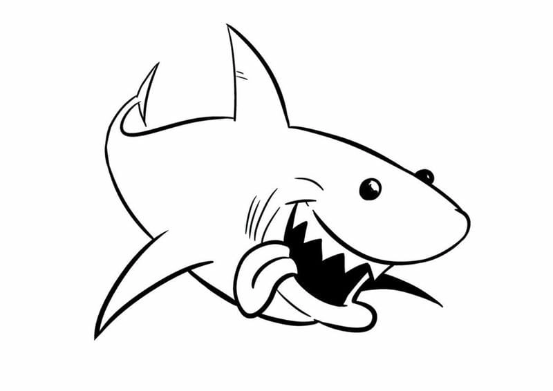 Hình cá mập cho bé tô màu siêu chất cho bé yêu thích biển cả