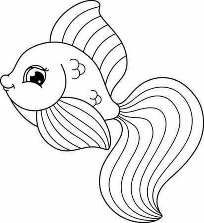 Hình vẽ tô màu con cá đa dạng kiểu dáng hỗ trợ học vẽ hiệu quả