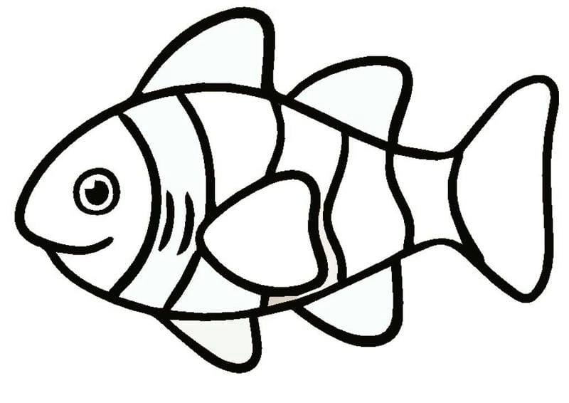 Kho tranh tô màu cá đa dạng giúp bé học màu sắc