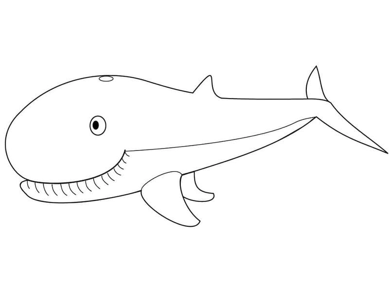Khám phá đại dương với tranh tô màu cá voi khổng lồ