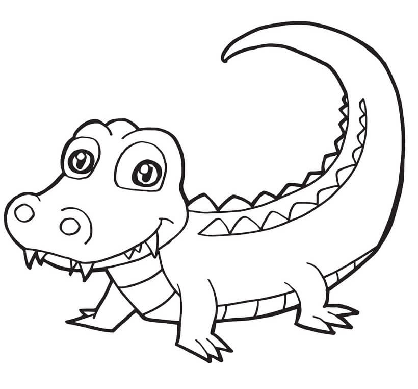 Sáng tạo cùng bé với tranh tô màu con cá sấu