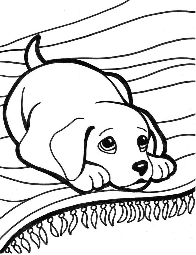 Gợi ý bé vẽ tranh con chó cute bằng bút chì màu