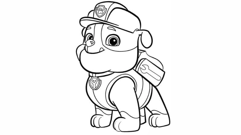 Khám phá ngay bộ tô màu con chó cứu hộ