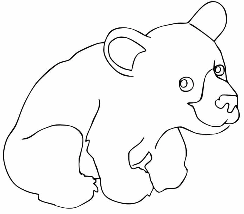 Bé thỏa sức sáng tạo với tranh con gấu cho trẻ tô màu