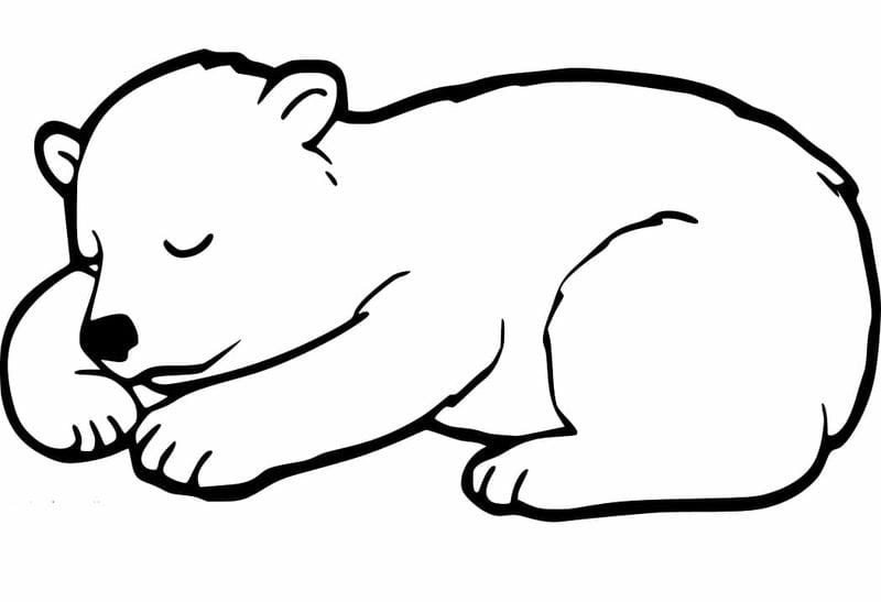 Tuyển chọn tranh tô màu con gấu cute dành cho bé sáng tạo