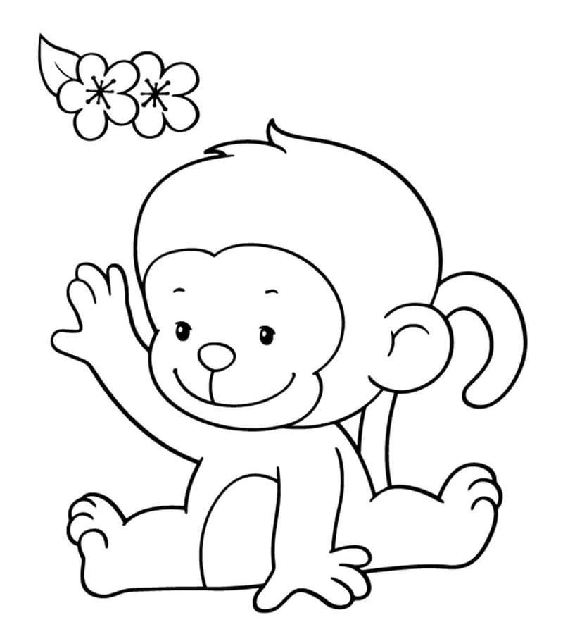 Khám phá ngay hình ảnh tô màu con khỉ