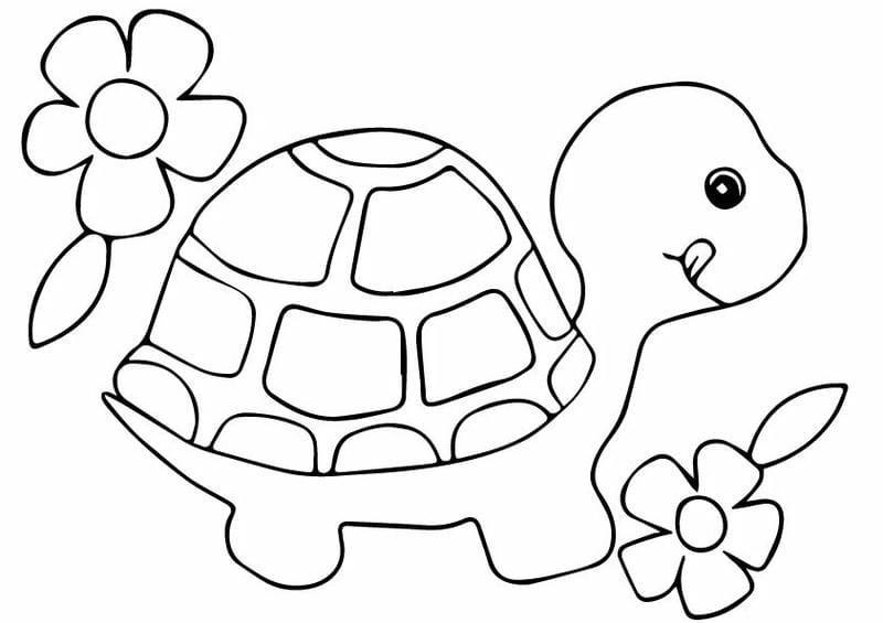 Bộ sưu tập tô màu hình con rùa cực dễ tải