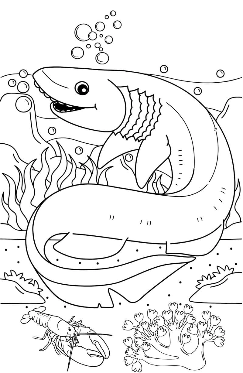 Thử ngay bộ tô màu các con vật sống dưới nước ngộ nghĩnh