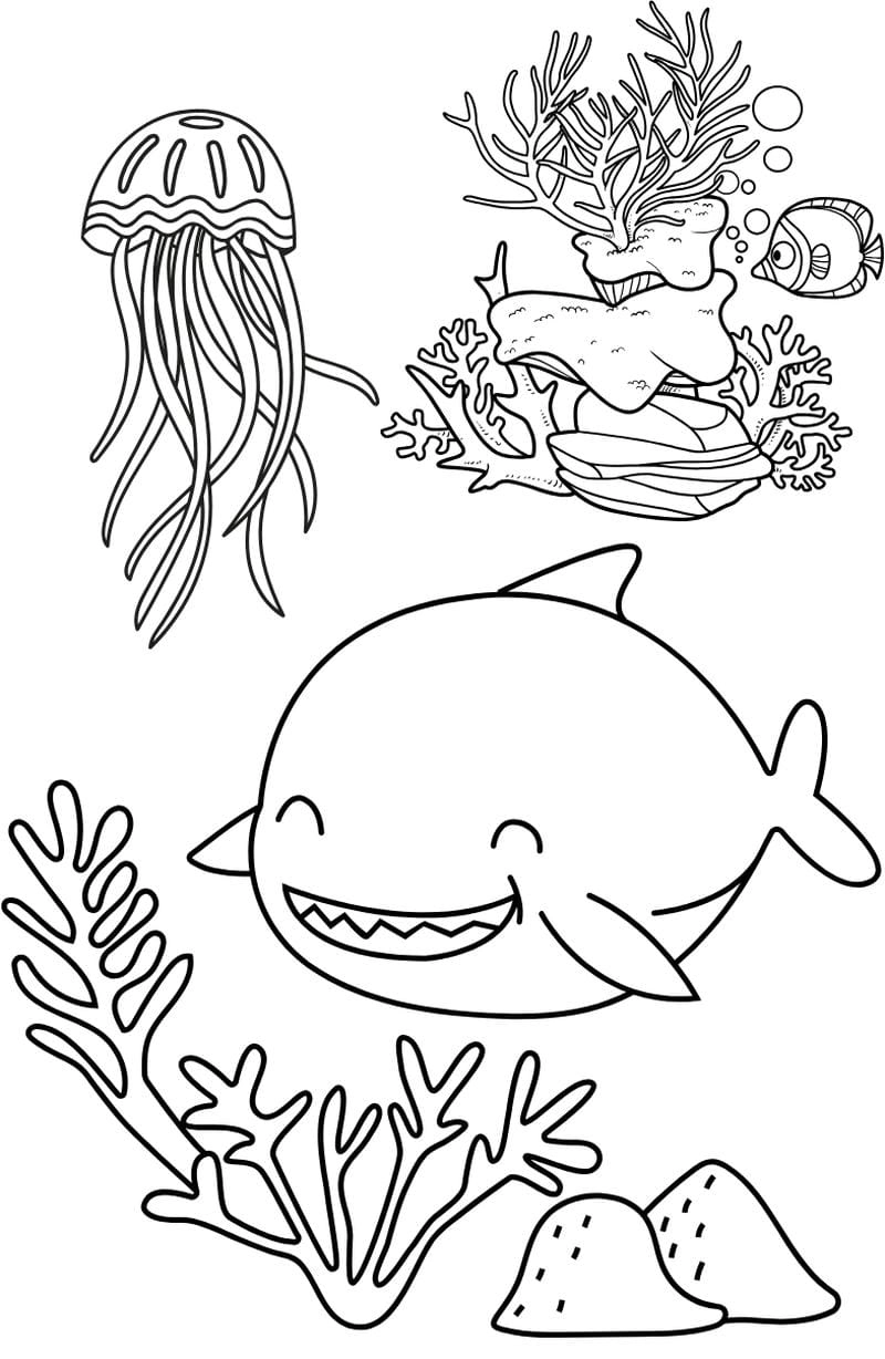 Bé thích mê hình ảnh tô màu các con vật sống dưới nước
