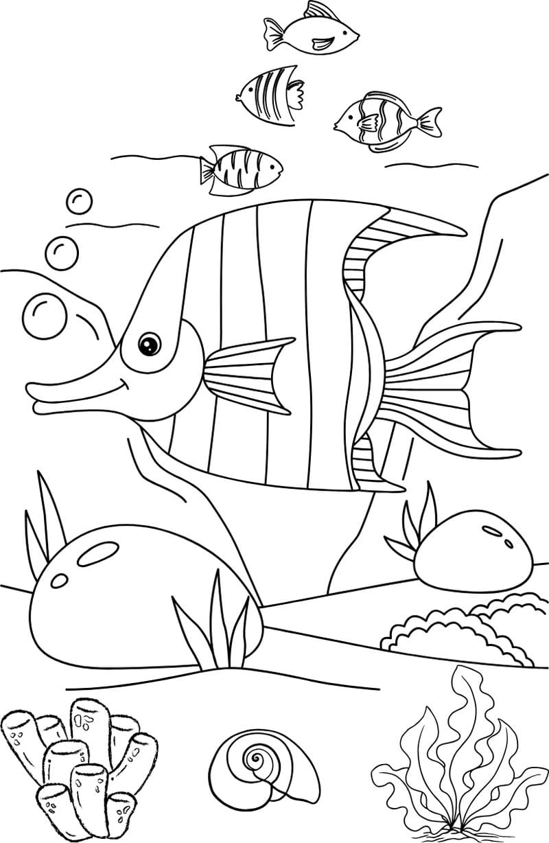 Bé tập tô cùng hình vẽ các con vật sống dưới nước