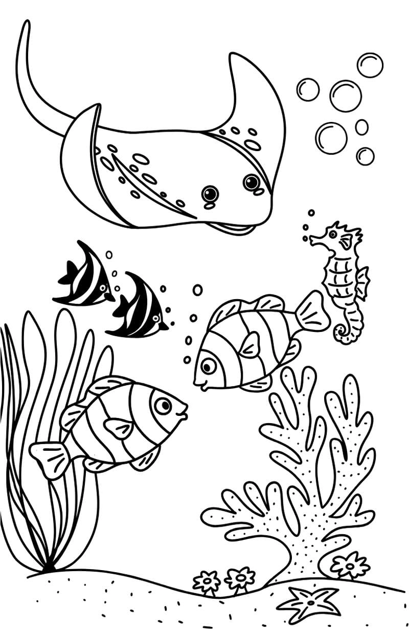 Khơi gợi sáng tạo từ to mau dong vat duoi nuoc