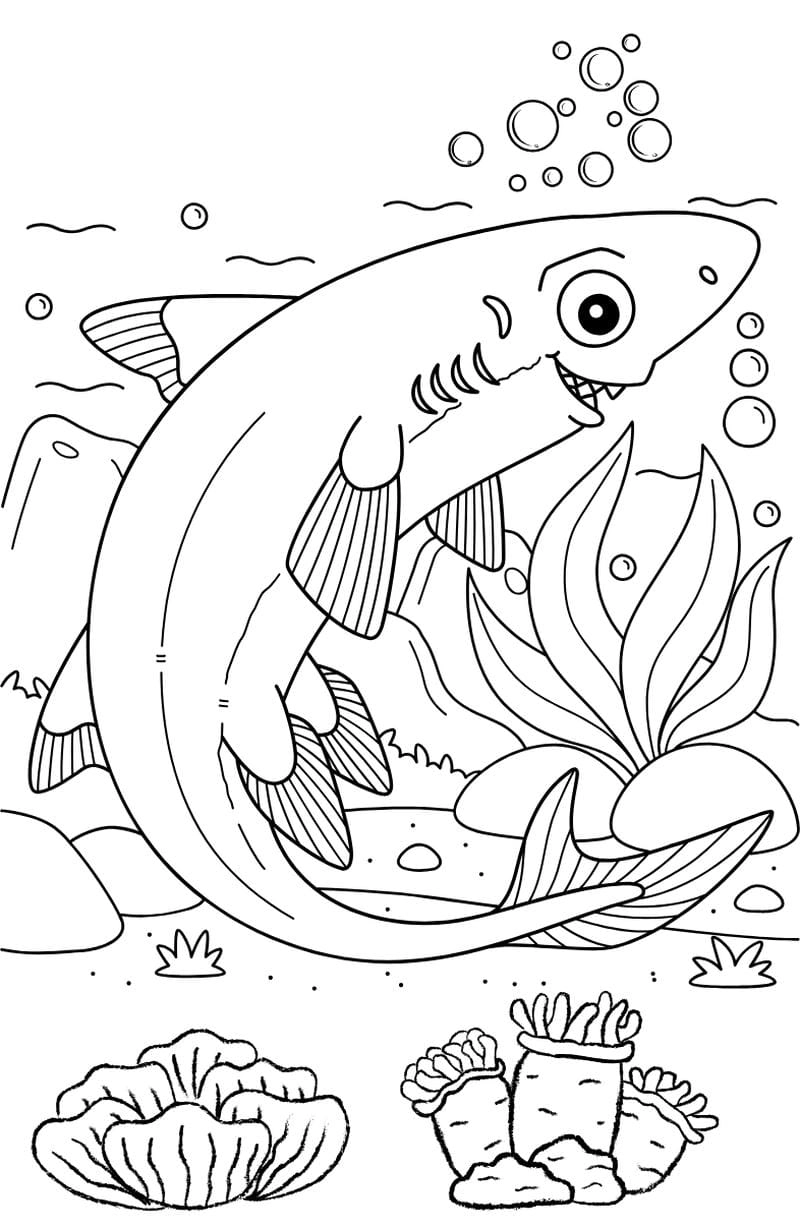 Khám phá bộ tranh to mau con vat song duoi nuoc đẹp