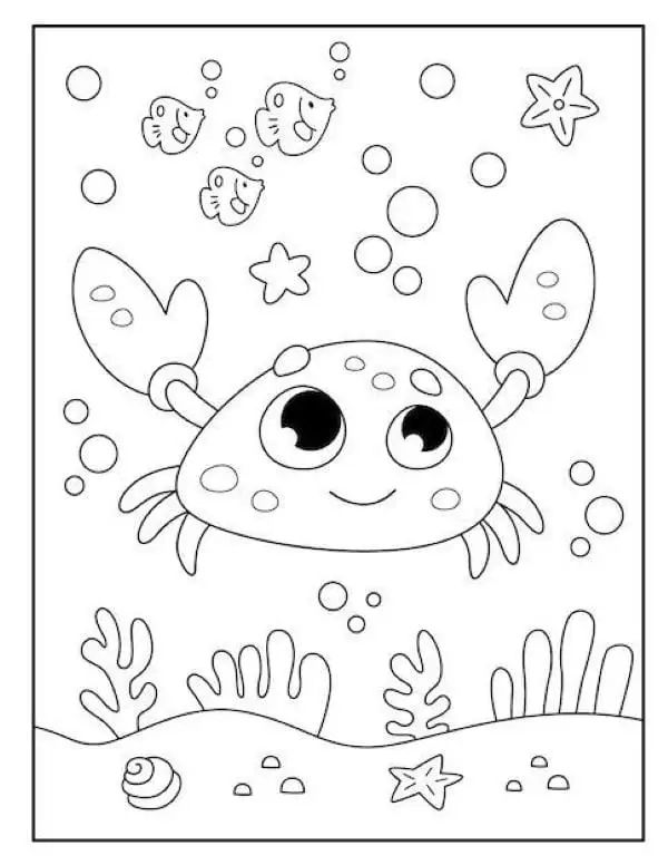 Sáng tạo mỗi ngày với tranh tô màu động vật sống dưới nước