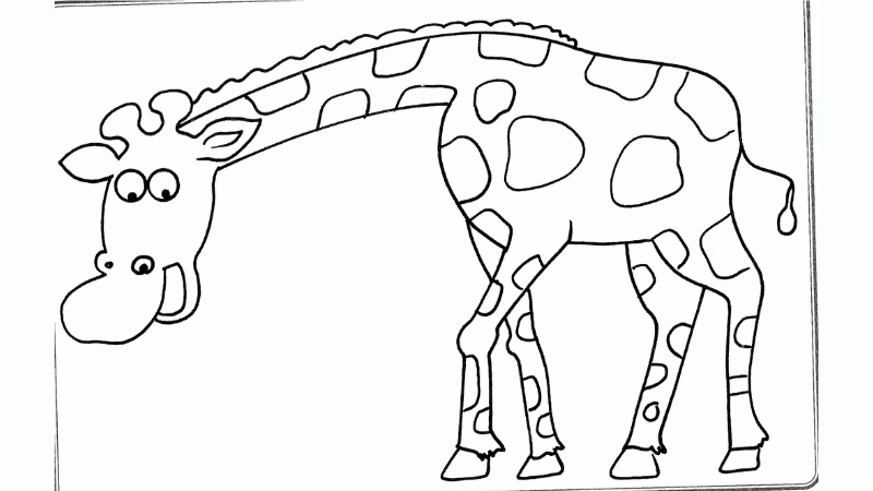 Khám phá tranh tô màu động vật sống trong rừng