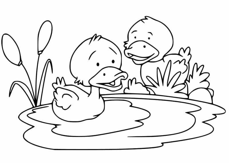 Khơi nguồn sáng tạo với to mau con vịt đáng yêu