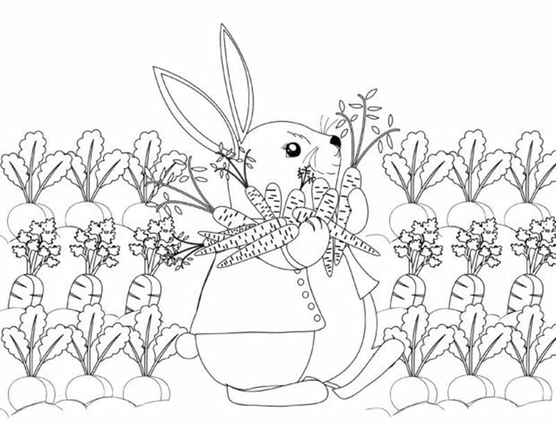 Bé học vẽ dễ dàng qua hình vẽ tô màu củ cà rốt