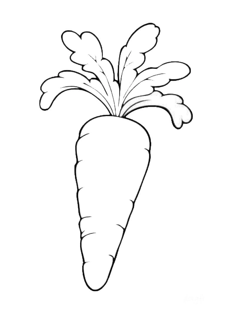 Chọn ngay tranh củ cà rốt đẹp để bé học màu