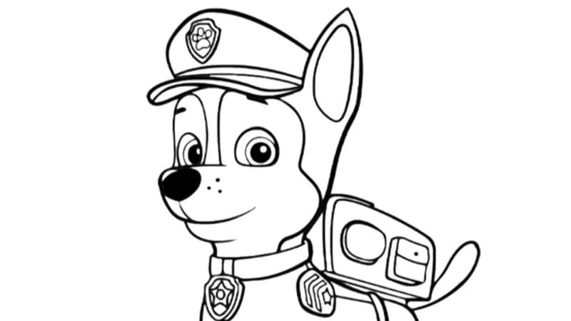 Hướng dẫn bé tô màu đội chó cứu hộ