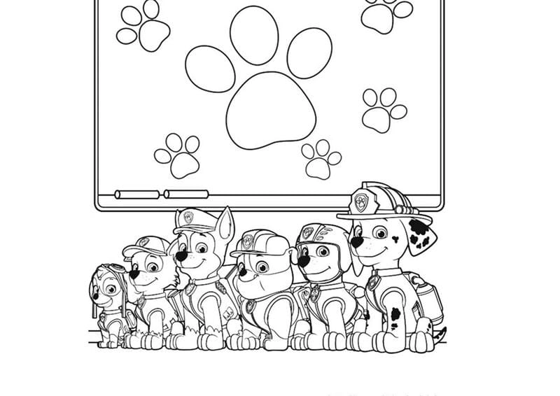 Khám phá hình ảnh tô màu đội chó cứu hộ