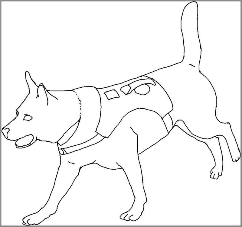 Bé mê tít hình đội chó cứu hộ tô màu