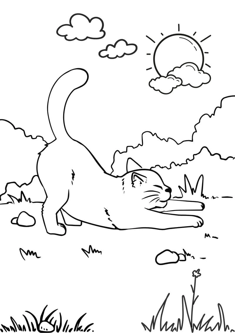 Học mà chơi với tranh tô màu động vật sống trong gia đình