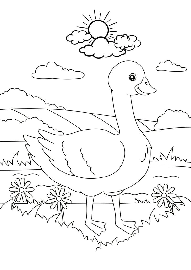 Tải và in tranh tô màu động vật ngay cho bé