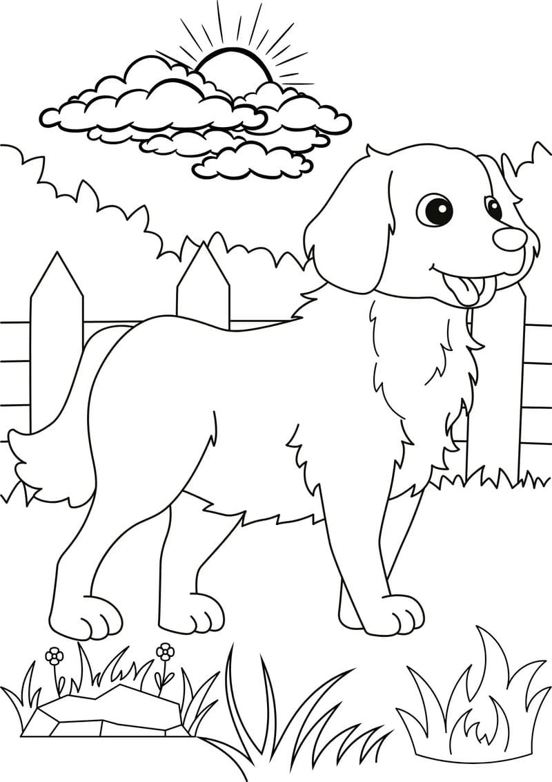 Cùng bé khám phá tranh tô màu động vật trong gia đình