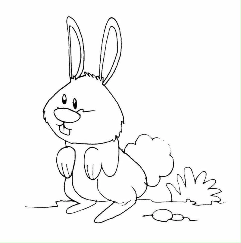 Siêu ngọt ngào với tranh tô màu động vật chibi cute