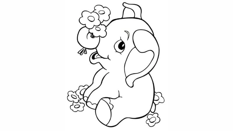 Tô điểm sáng tạo với tranh tô màu động vật trong rừng