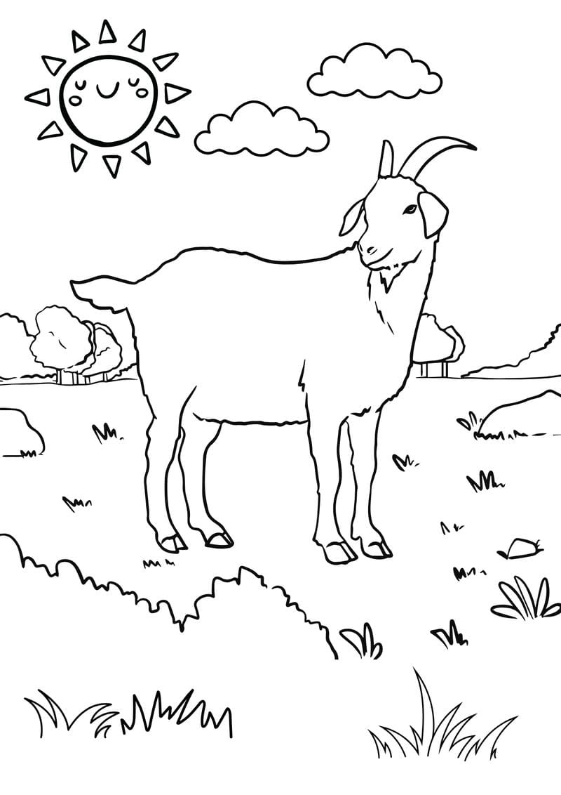 Chia sẻ nhanh anh to mau con vat mới nhất