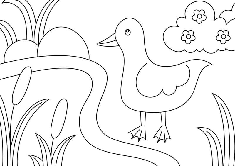 Bé thỏa sức sáng tạo cùng tranh tô màu động vật cho bé