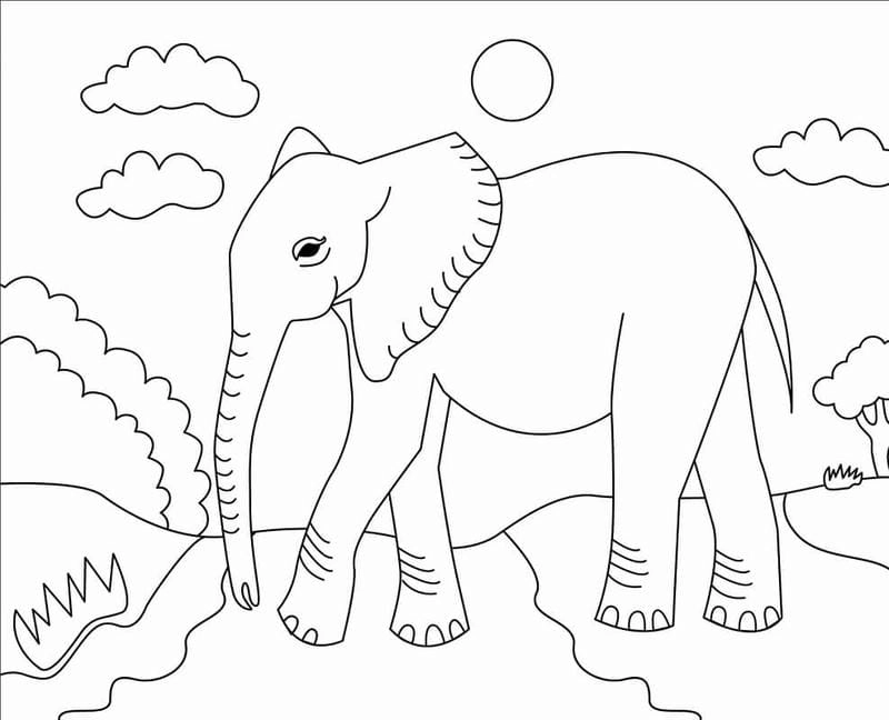 Bé sẽ mê mẩn bộ tranh con voi tô màu