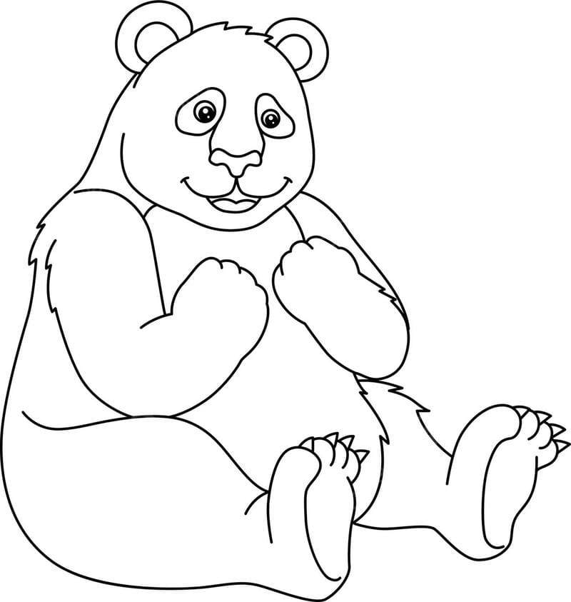 Tải ngay hình con gấu cho bé tô màu miễn phí