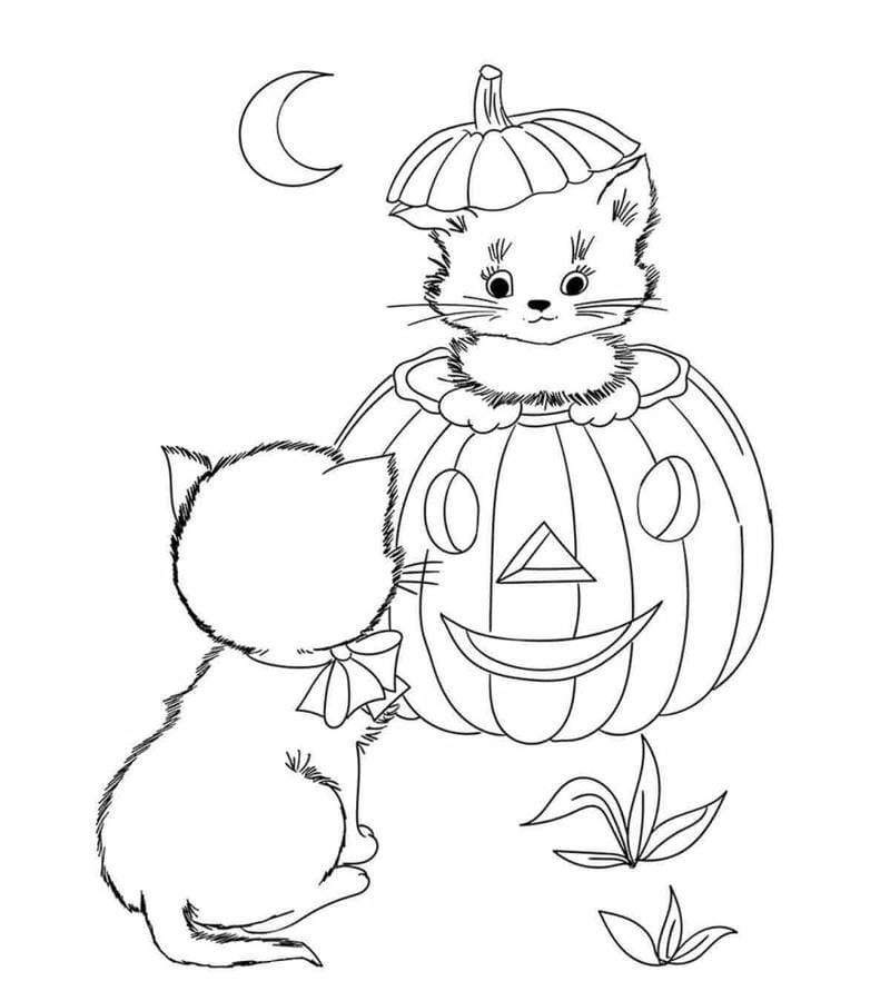 Khám phá tranh tô màu halloween cute cùng bí ngô và con ma đáng yêu