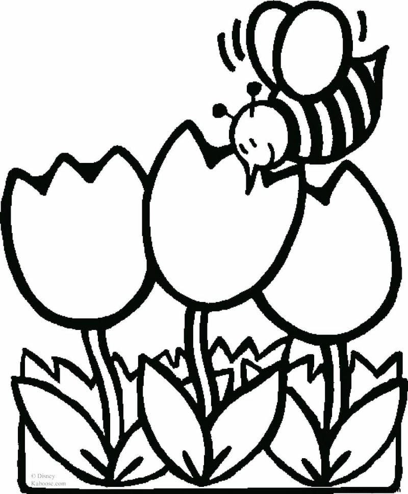 Sáng tạo dịu dàng với tulip đẹp tranh tô màu hoa tulip