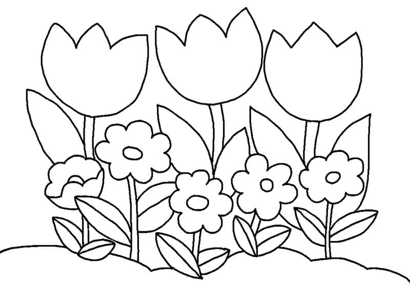 Tô màu dễ thương cùng tranh tô màu hoa tulip cute