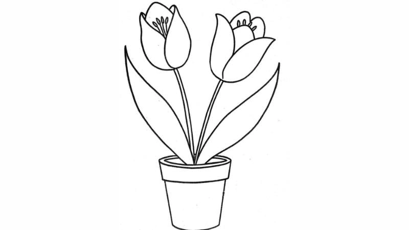Tập tô siêu dễ với tranh tô màu hoa tulip đơn giản