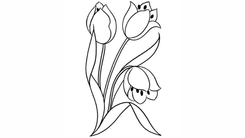 Bé yêu thích tu lip tranh tô màu hoa tulip sắc màu