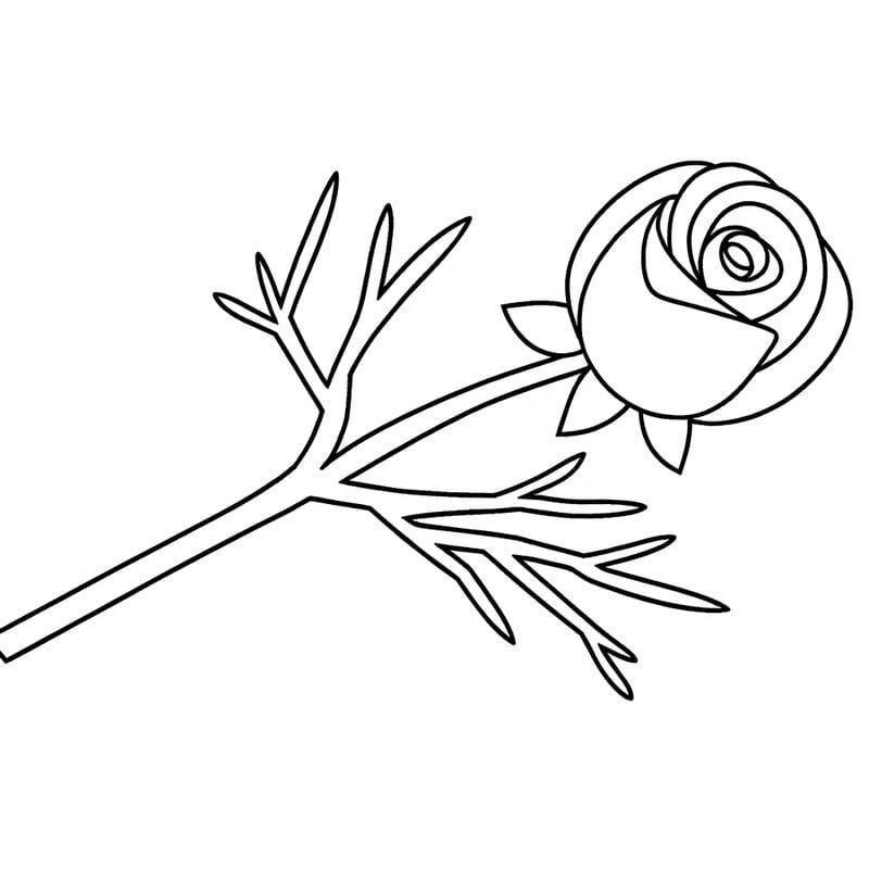 Tải ngay hình tô màu hoa hồng đẹp rõ nét