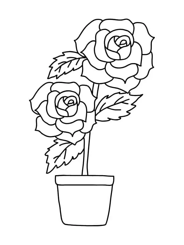 Trò chơi yên tĩnh với tô màu vẽ hoa hồng