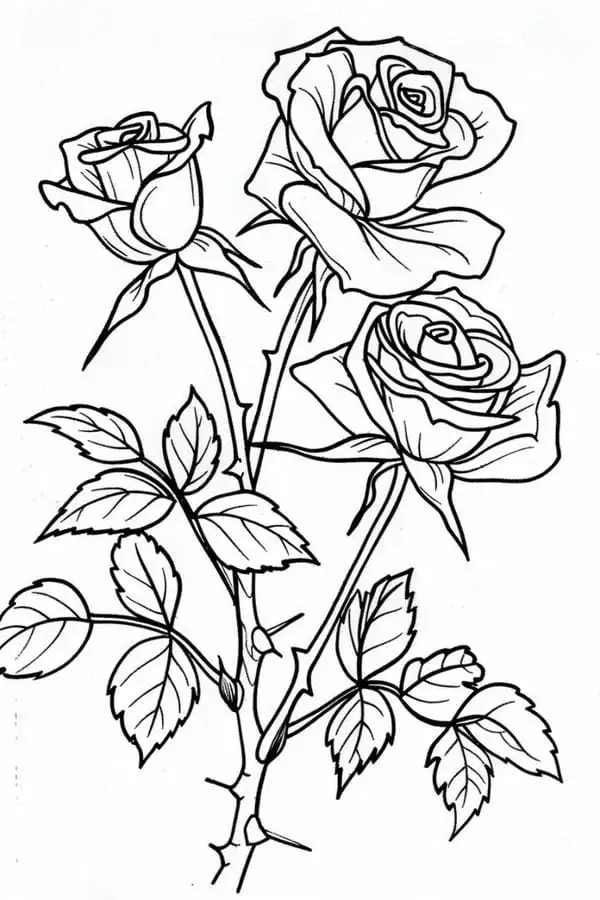 Sáng tạo với hình ảnh hoa hồng cho trẻ tô màu
