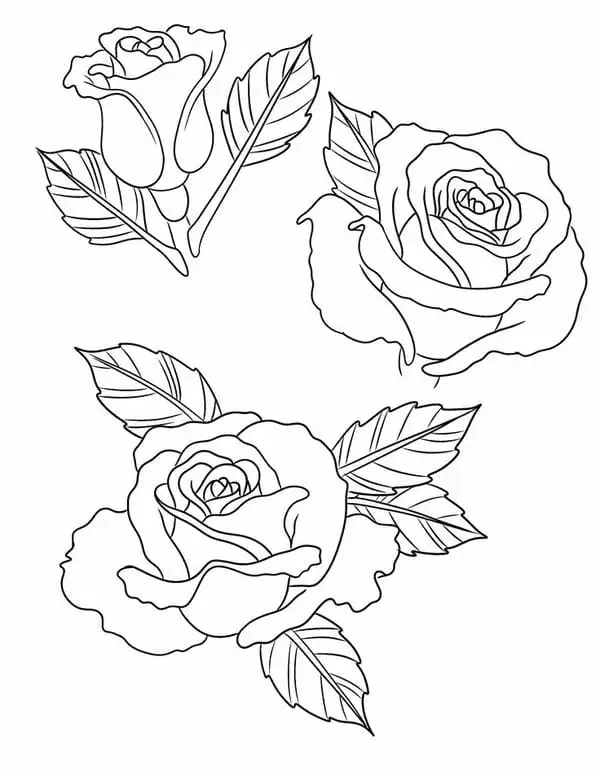 Mẫu hoa hồng tô màu đẹp cho bé thực hành