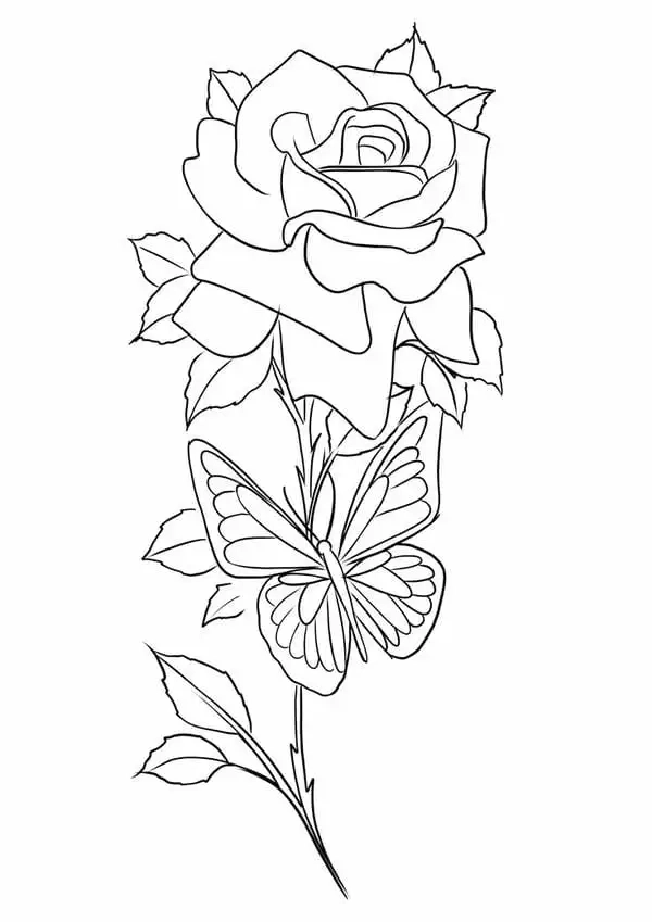 Hướng dẫn hoa hồng vẽ đơn giản dễ cho trẻ