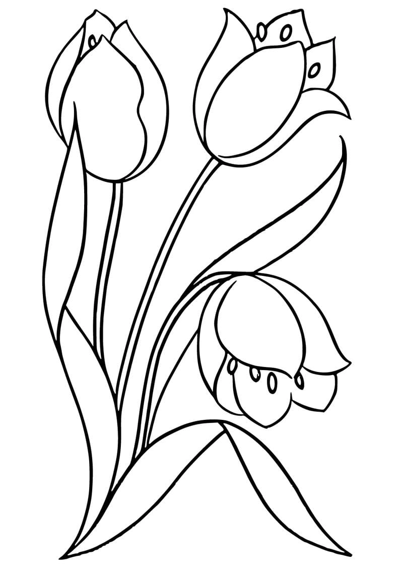 Ngắm nhìn tranh hoa tulip dan tuong đầy sắc màu