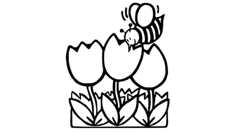 Bé yêu thích hoạt động vẽ cánh đồng hoa tulip tự do