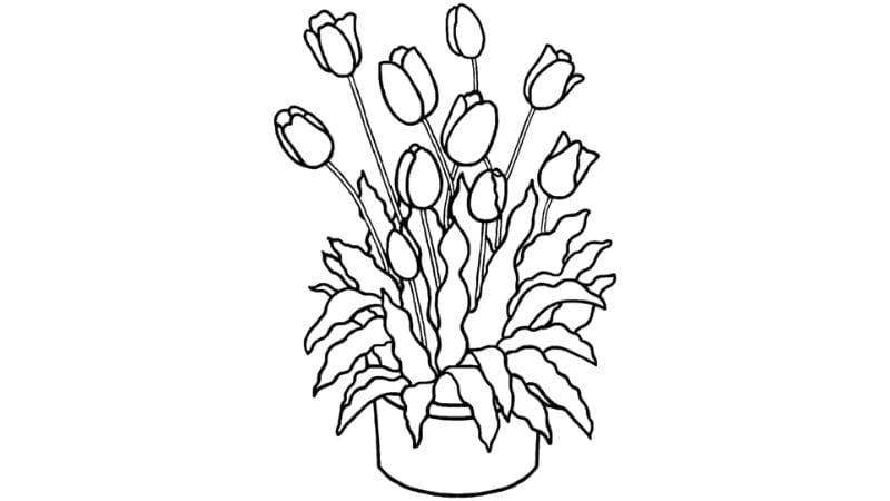 Bé sáng tạo với tranh tô màu hoa tulip và vẽ tranh hoa tulip